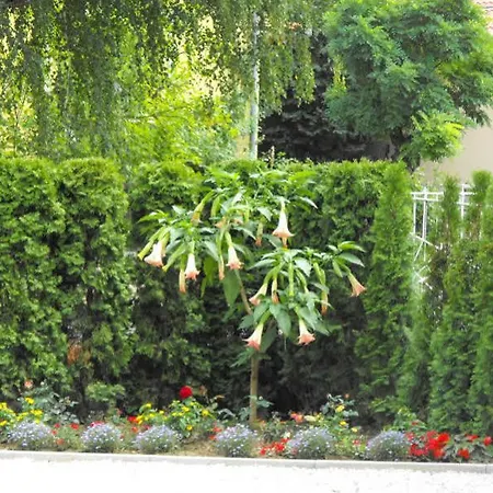 Andrea I Balaton Apartament